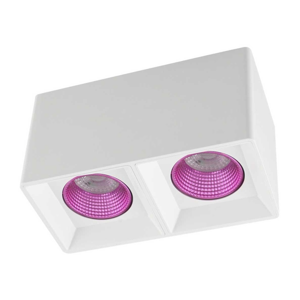 _vokruglamp_potolochnyy_svetilnik_denkirs_dk3020wpi_dk3085_wh_pi.jpeg