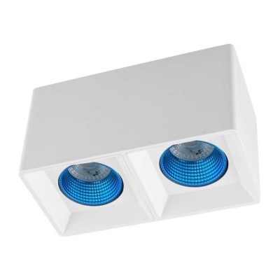 _vokruglamp_potolochnyy_svetilnik_denkirs_dk3020wsy_dk3085_wh_cy.jpeg