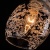786eb6909ae1fb8e70213d5db100cece.jpeg 786eb6909ae1fb8e70213d5db100cece.jpeg
